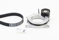 CONTINENTAL CTAM 6PK1153 - Correa trapecial poli V