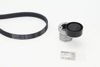 CONTINENTAL CTAM 6PK1200K1 - Juego de correas trapeciales poli V