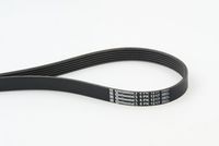 CONTINENTAL CTAM 6PK1217 - Correa trapecial poli V