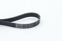 CONTINENTAL CTAM 6PK1190 - Correa trapecial poli V