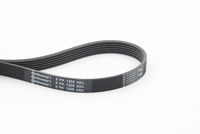 CONTINENTAL CTAM 6PK1205 - Correa trapecial poli V