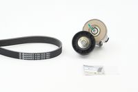 CONTINENTAL CTAM 6PK1310K1 - Juego de correas trapeciales poli V