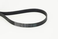 CONTINENTAL CTAM 6PK1345 - Correa trapecial poli V