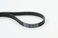 CONTINENTAL CTAM 6PK1370 - Correa trapecial poli V