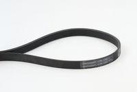 CONTINENTAL CTAM 6PK1352 - Correa trapecial poli V
