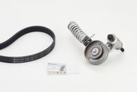 CONTINENTAL CTAM 6PK1400K1 - Juego de correas trapeciales poli V