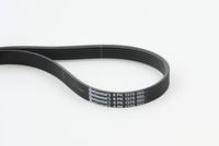 CONTINENTAL CTAM 6PK1370 - Correa trapecial poli V