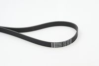 CONTINENTAL CTAM 6PK1318 - Correa trapecial poli V