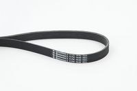 CONTINENTAL CTAM 6PK1440 - Correa trapecial poli V