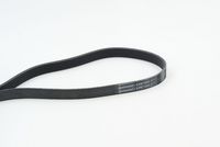 CONTINENTAL CTAM 6PK1453 - Correa trapecial poli V