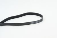 CONTINENTAL CTAM 6PK1453 - Correa trapecial poli V