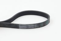 CONTINENTAL CTAM 6PK1515 - Correa trapecial poli V