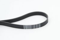 CONTINENTAL CTAM 6PK1613 - Correa trapecial poli V