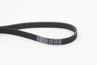 CONTINENTAL CTAM 6PK1440 - Correa trapecial poli V