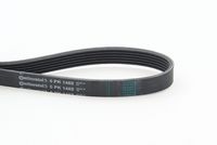 CONTINENTAL CTAM 6PK1468 - Correa trapecial poli V