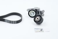 CONTINENTAL CTAM 6PK1560K1 - Juego de correas trapeciales poli V