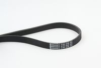 CONTINENTAL CTAM 6PK1548 - Correa trapecial poli V