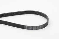 CONTINENTAL CTAM 6PK1580 - Correa trapecial poli V