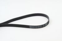 CONTINENTAL CTAM 6PK1693 - Correa trapecial poli V