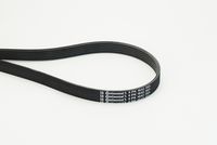 CONTINENTAL CTAM 6PK1642 - Correa trapecial poli V