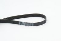 CONTINENTAL CTAM 6PK1705 - Correa trapecial poli V