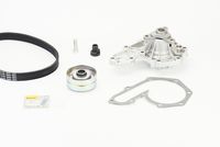 CONTINENTAL CTAM 6PK1660WP1 - Bomba de agua + kit de correa poli V