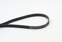 CONTINENTAL CTAM 6PK1693 - Correa trapecial poli V