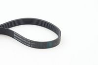 CONTINENTAL CTAM 6PK1725 - Correa trapecial poli V