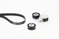 CONTINENTAL CTAM 6PK1715 - Correa trapecial poli V