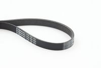 CONTINENTAL CTAM 6PK1750 - Correa trapecial poli V