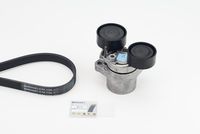 CONTINENTAL CTAM 6PK1780 - Correa trapecial poli V