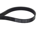 CONTINENTAL CTAM 6PK986 - Correa trapecial poli V