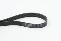 CONTINENTAL CTAM 6PK995 - Correa trapecial poli V