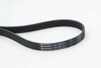 CONTINENTAL CTAM 7PK1035 - Correa trapecial poli V