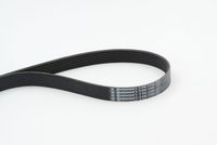 CONTINENTAL CTAM 7PK1104 - Correa trapecial poli V