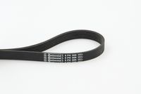 CONTINENTAL CTAM 6PK906 - Correa trapecial poli V