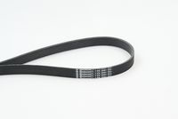 CONTINENTAL CTAM 7PK2061 - Correa trapecial poli V