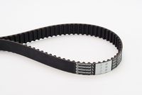 CONTINENTAL CTAM CT1001 - Correa dentada