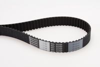 CONTINENTAL CTAM CT1015 - Correa dentada