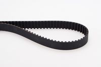 CONTINENTAL CTAM CT1019 - Correa dentada