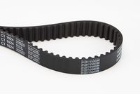 CONTINENTAL CTAM CT1024 - Correa dentada