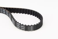 CONTINENTAL CTAM CT1067 - Correa dentada