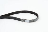 CONTINENTAL CTAM CT1082 - Correa dentada