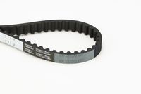 CONTINENTAL CTAM CT1141 - Correa dentada