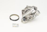 CONTINENTAL CTAM CT1143WP2 - Bomba de agua + kit correa distribución