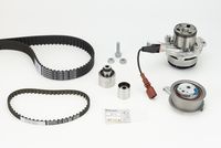 CONTINENTAL CTAM CT1168WP8PRO - Bomba de agua + kit correa distribución