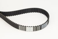 CONTINENTAL CTAM CT1178 - Correa dentada