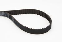 CONTINENTAL CTAM CT513 - Correa dentada