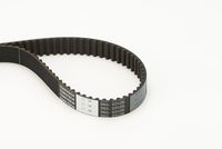 CONTINENTAL CTAM CT740 - Correa dentada