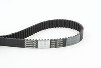 CONTINENTAL CTAM CT872 - Correa dentada